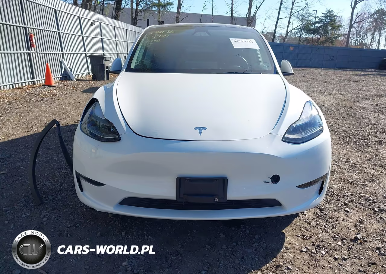 2023 Tesla Model Y Awd-Long Range Dual Motor All-Wheel Drive VIN:7SAYGAEE6PF804780 - 11