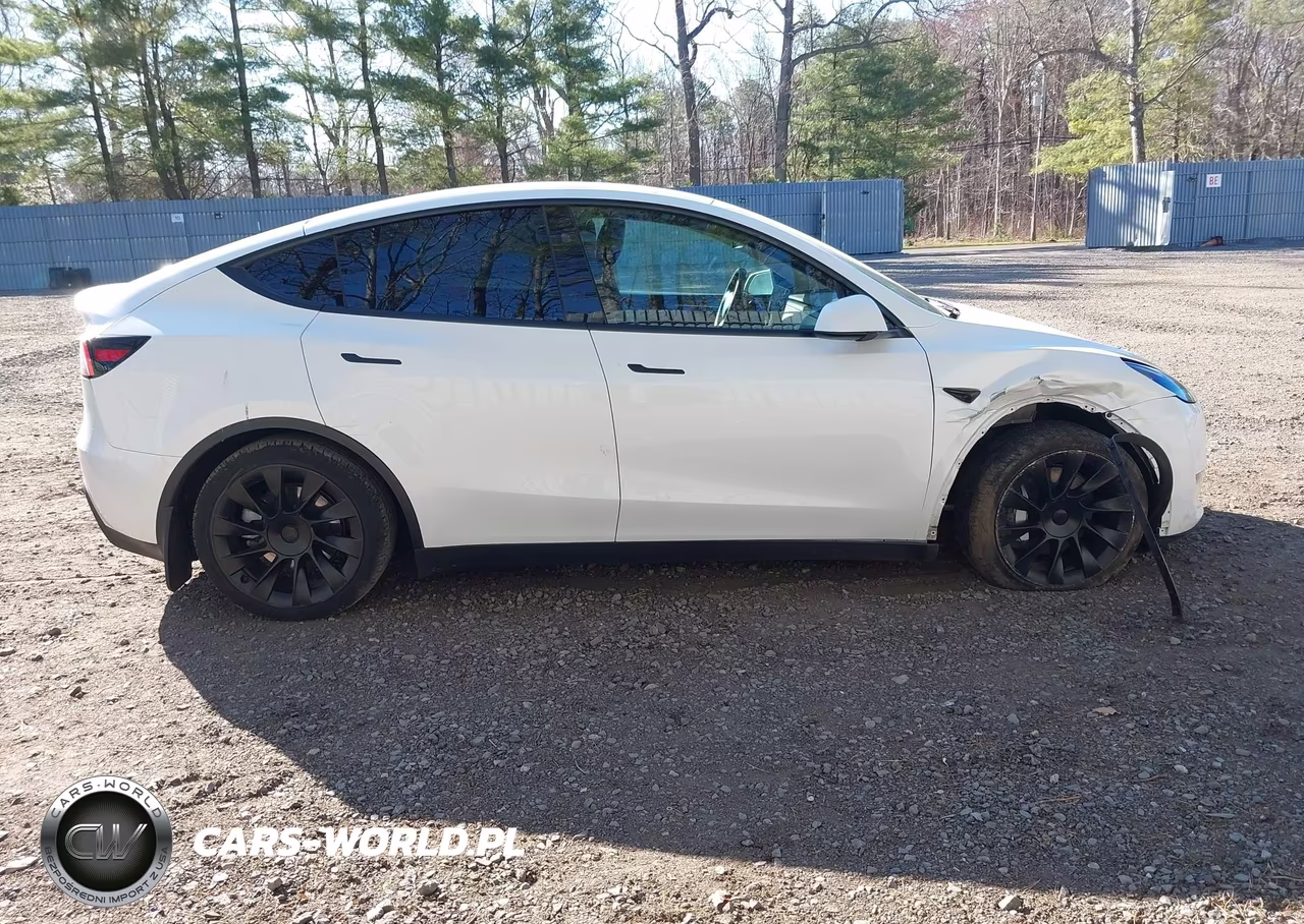 2023 Tesla Model Y Awd-Long Range Dual Motor All-Wheel Drive VIN:7SAYGAEE6PF804780 - 12