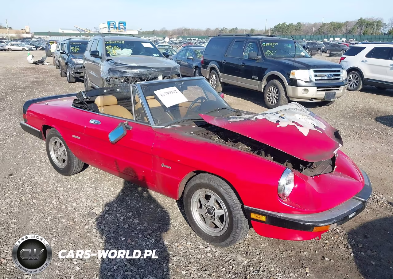 1990 Alfa Romeo Spider Graduate
