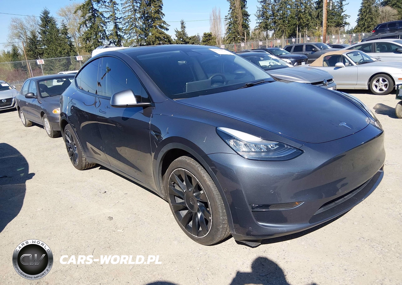 2020 Tesla Model Y Long Range Dual Motor All-Wheel Drive-Performance Dual Motor All-Wheel Drive