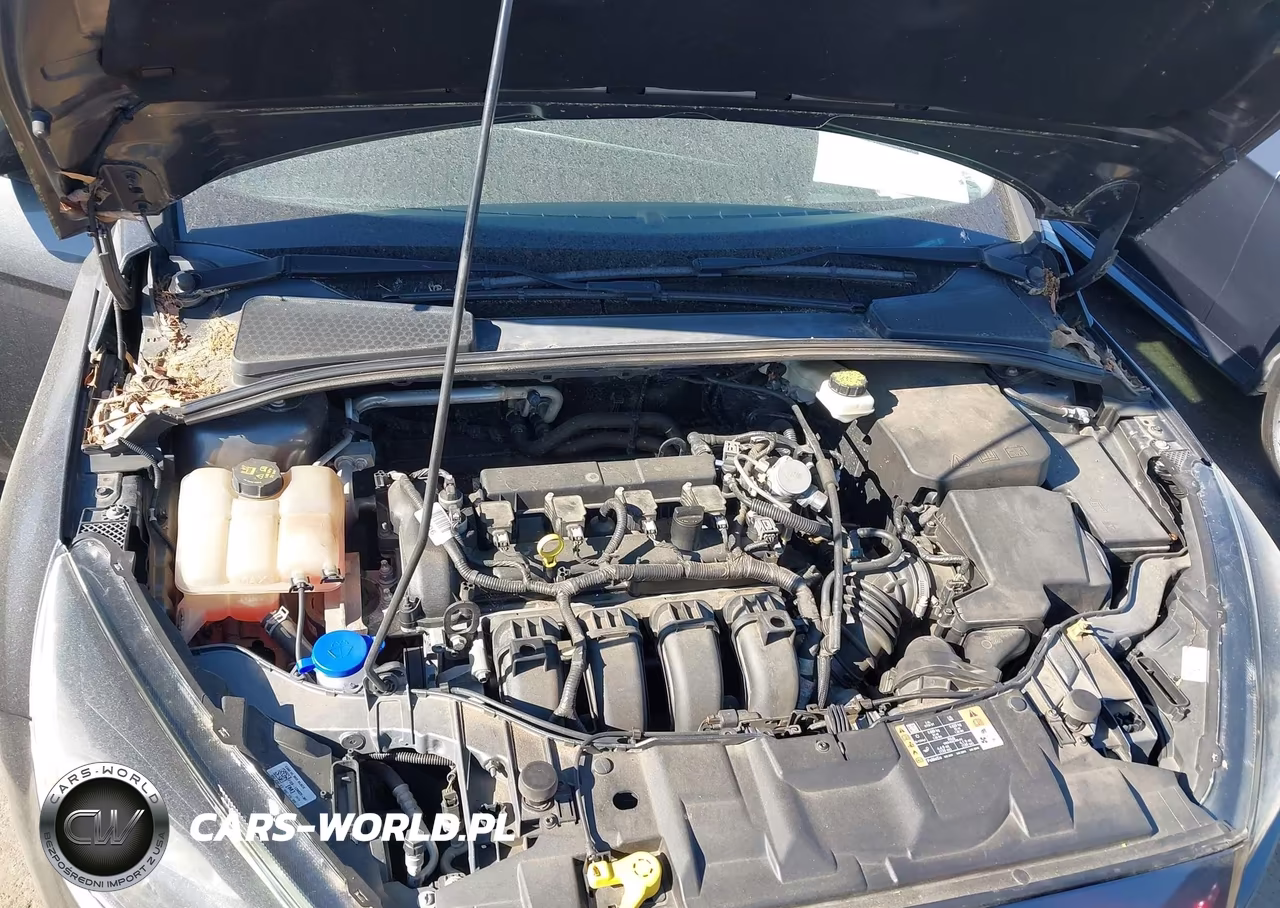 2017 Ford Focus Sel VIN:1FADP3H22HL297891 - 10