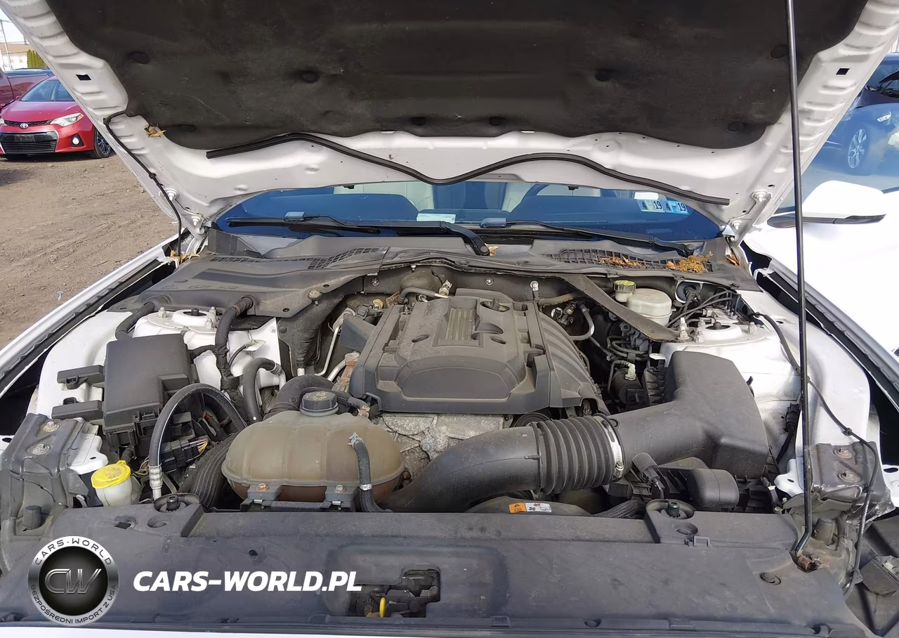2015 Ford Mustang Ecoboost Premium VIN:1FATP8UH7F5331781 - 10