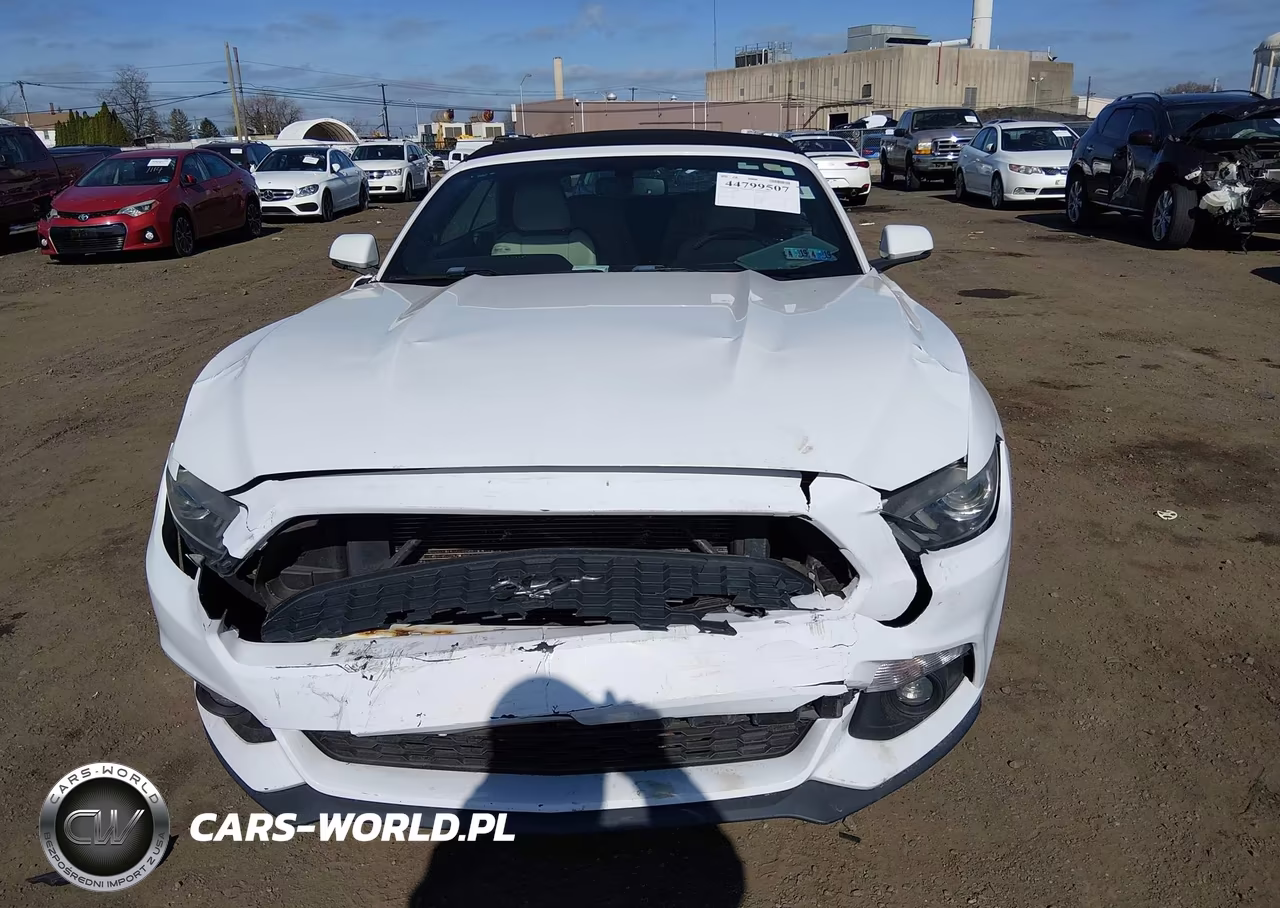 2015 Ford Mustang Ecoboost Premium VIN:1FATP8UH7F5331781 - 12