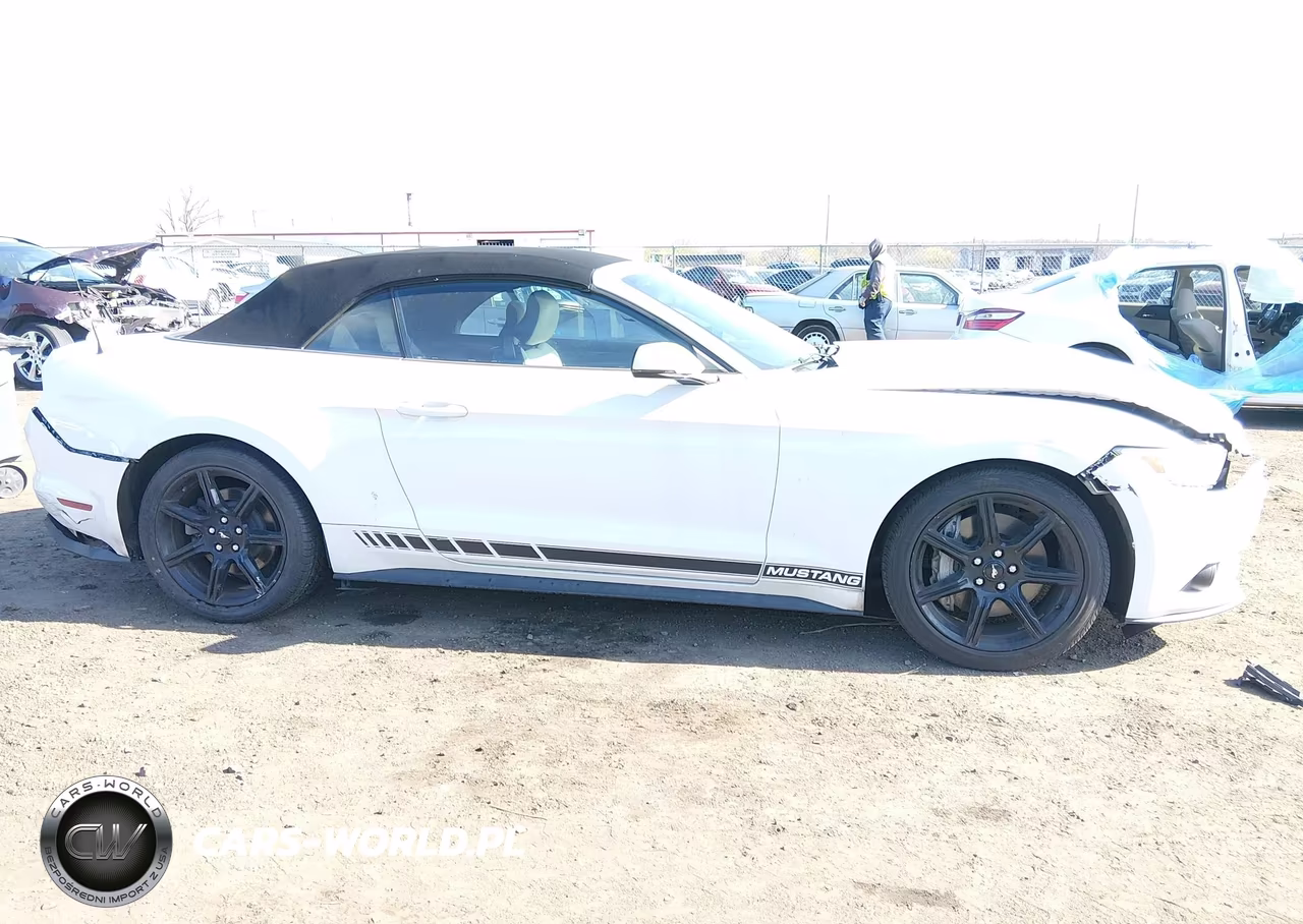 2015 Ford Mustang Ecoboost Premium VIN:1FATP8UH7F5331781 - 13