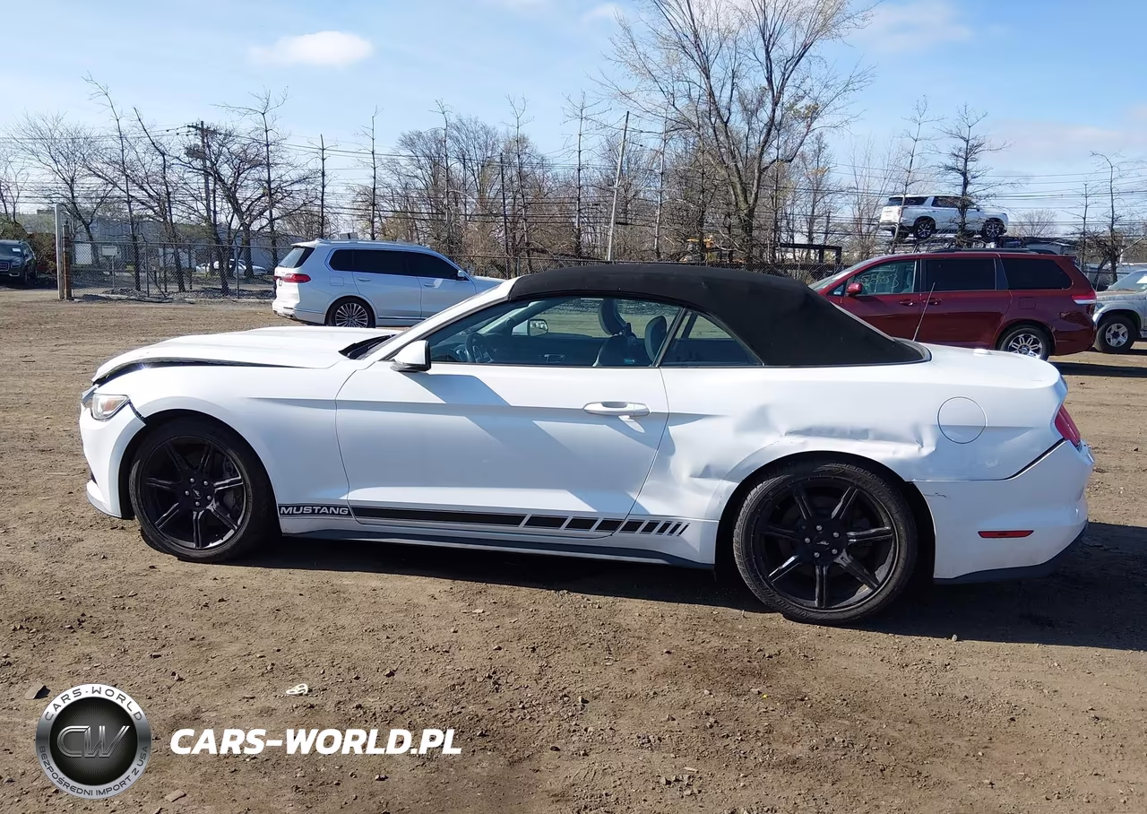 2015 Ford Mustang Ecoboost Premium VIN:1FATP8UH7F5331781 - 14