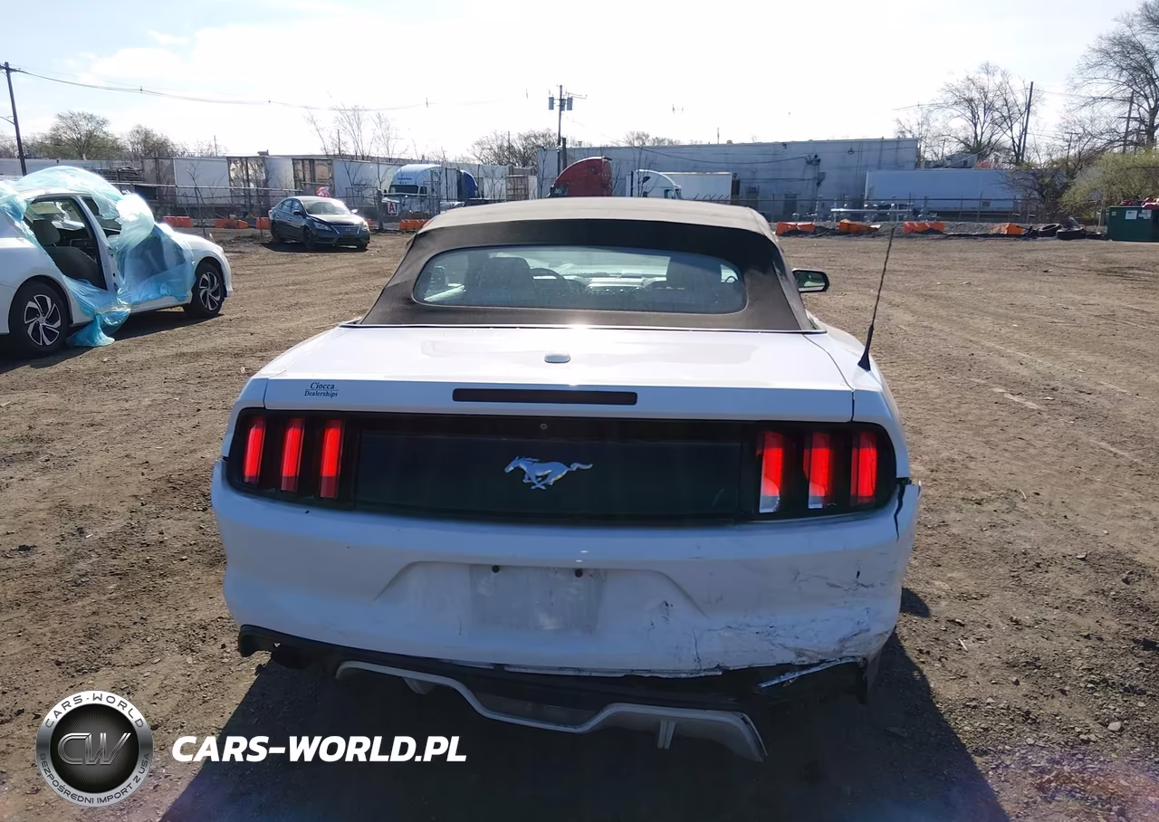 2015 Ford Mustang Ecoboost Premium VIN:1FATP8UH7F5331781 - 16