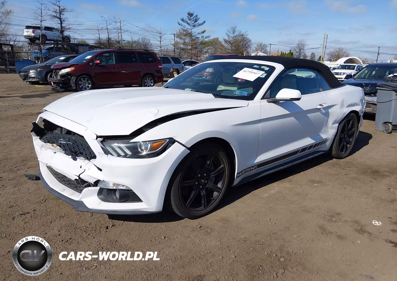 2015 Ford Mustang Ecoboost Premium VIN:1FATP8UH7F5331781 - 2