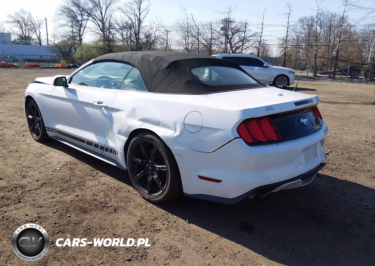 2015 Ford Mustang Ecoboost Premium VIN:1FATP8UH7F5331781 - 3