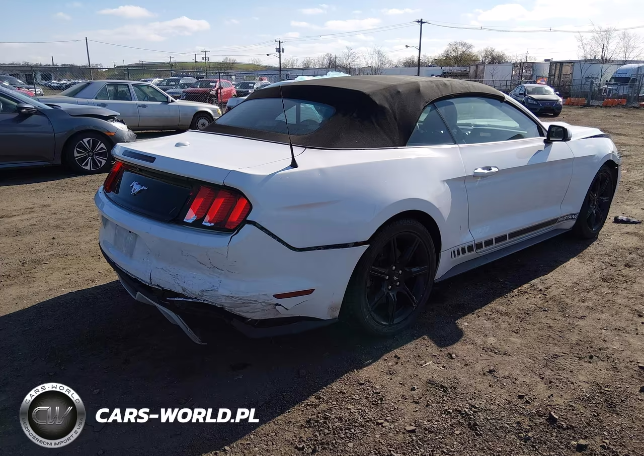 2015 Ford Mustang Ecoboost Premium VIN:1FATP8UH7F5331781 - 4