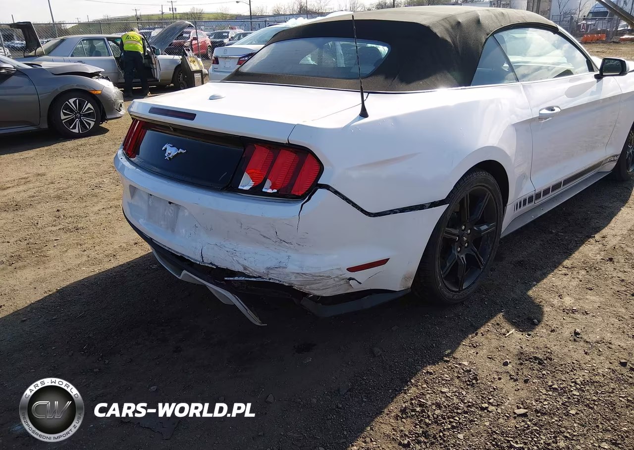 2015 Ford Mustang Ecoboost Premium VIN:1FATP8UH7F5331781 - 6