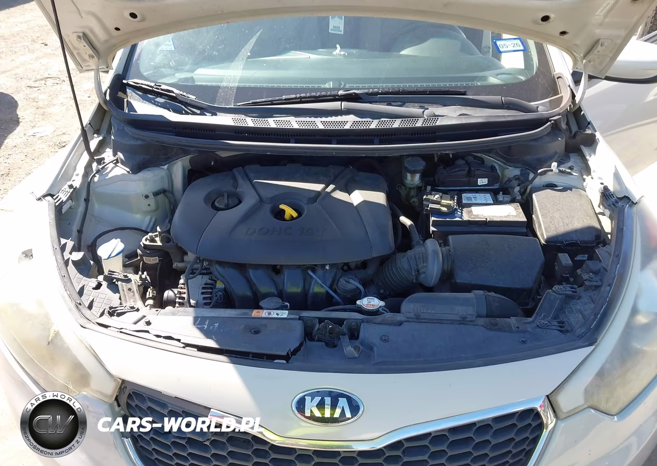 2015 Kia Forte Lx VIN:KNAFK4A67F5380221 - 10