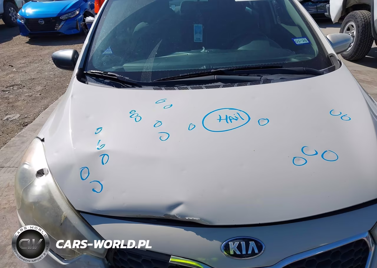 2015 Kia Forte Lx VIN:KNAFK4A67F5380221 - 12