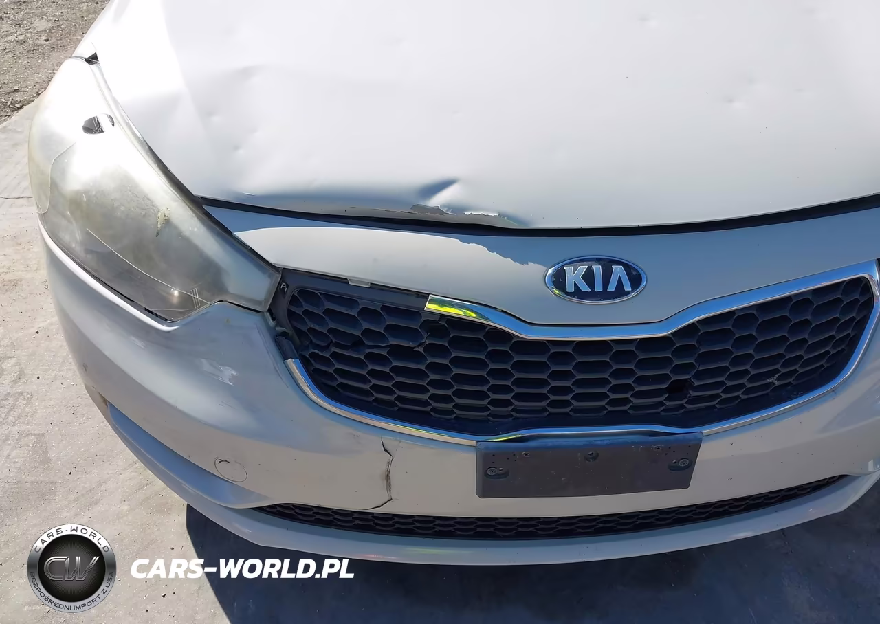 2015 Kia Forte Lx VIN:KNAFK4A67F5380221 - 6