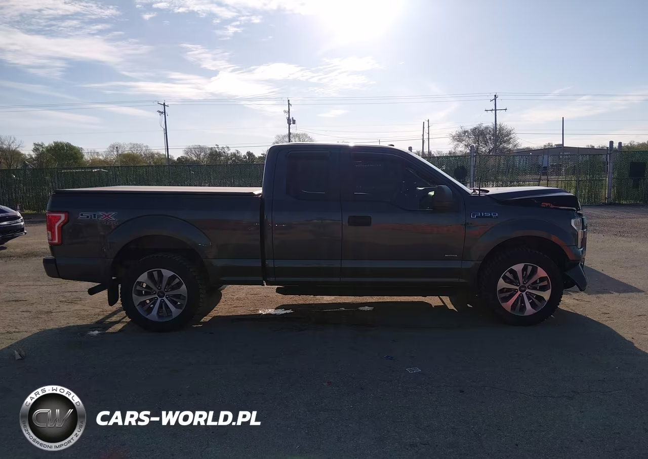 2017 Ford F-150 Xl VIN:1FTEX1EP1HKD67311 - 13