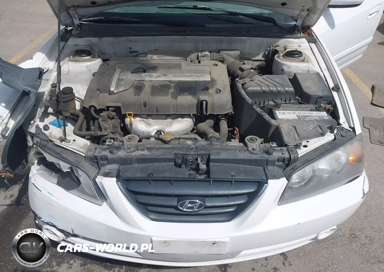 2005 Hyundai Elantra Gls-Gt VIN:KMHDN46D85U975829 - 10