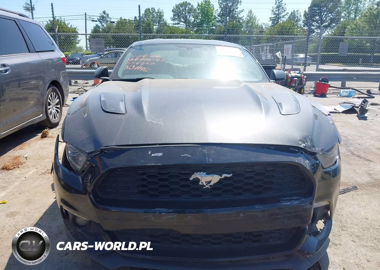 2015 Ford Mustang Ecoboost VIN:1FA6P8TH6F5340602 - 12