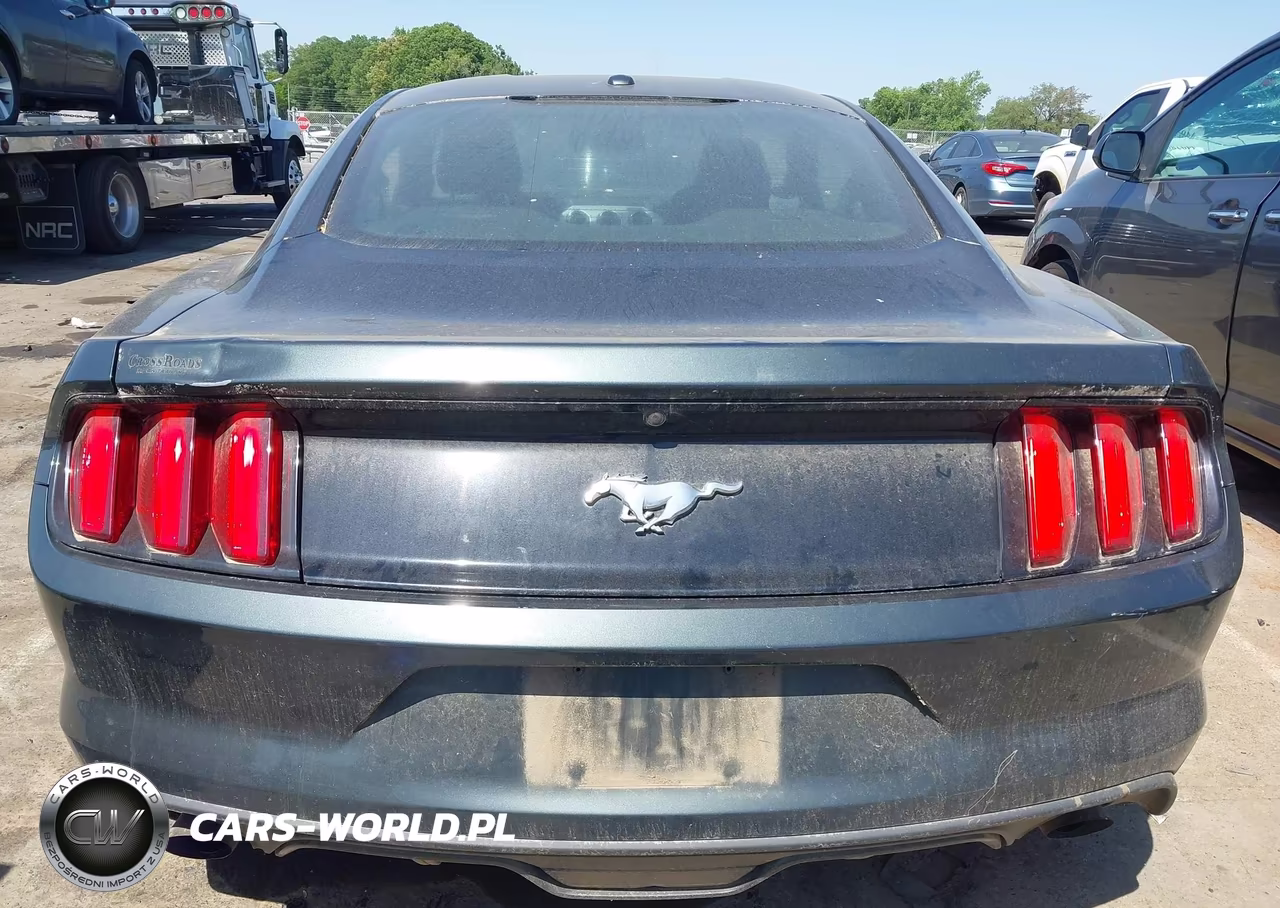 2015 Ford Mustang Ecoboost VIN:1FA6P8TH6F5340602 - 16