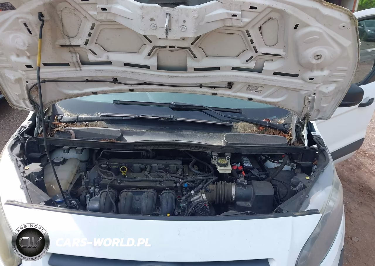 2014 Ford Transit Connect Xl VIN:NM0LS7E79E1163959 - 10