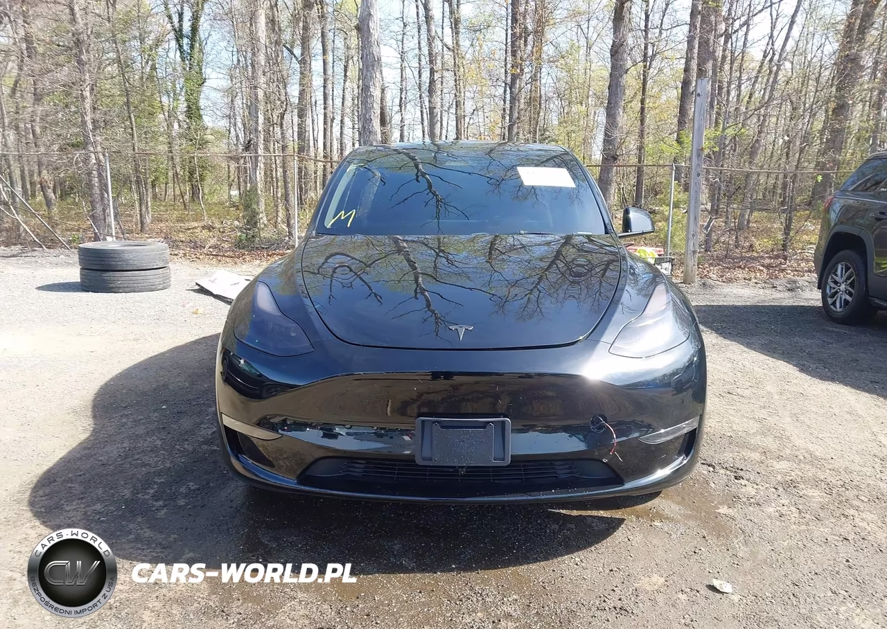 2024 Tesla Model Y Long Range Dual Motor All-Wheel Drive VIN:7SAYGDEE0RA218884 - 13