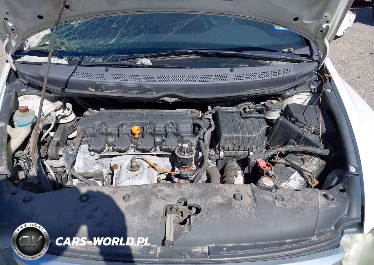 2010 Honda Civic Lx-S VIN:19XFA1F61AE033798 - 10