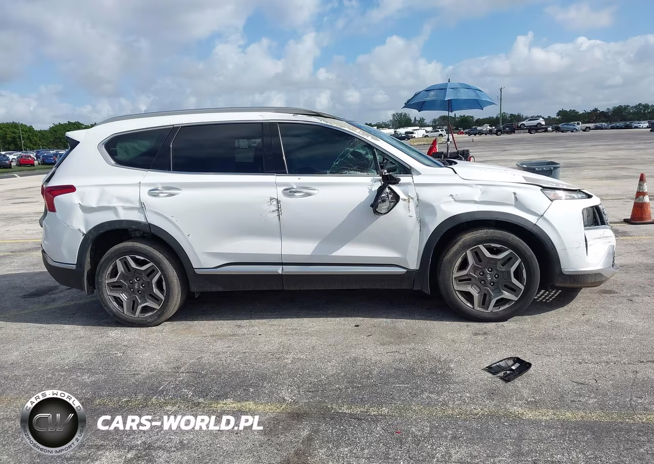 2021 Hyundai Santa Fe Limited VIN:5NMS44AL4MH334986 - 13