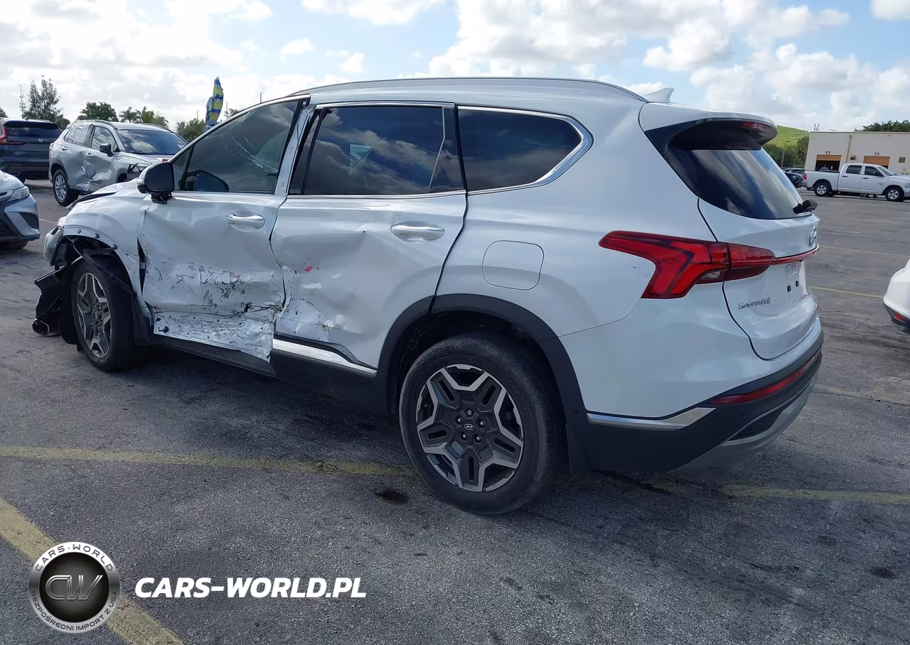 2021 Hyundai Santa Fe Limited VIN:5NMS44AL4MH334986 - 3