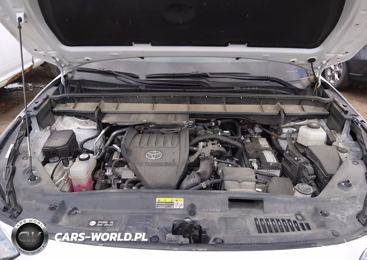 2024 Toyota Highlander Xle VIN:5TDKDRBH2RS545969 - 10
