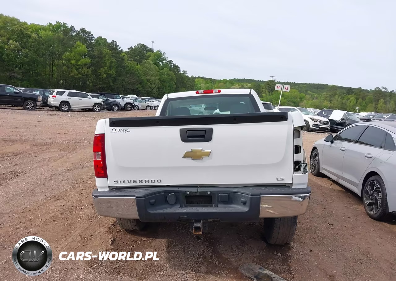 2011 Chevrolet Silverado 1500 Work Truck VIN:1GCNCPEX5BZ337578 - 17