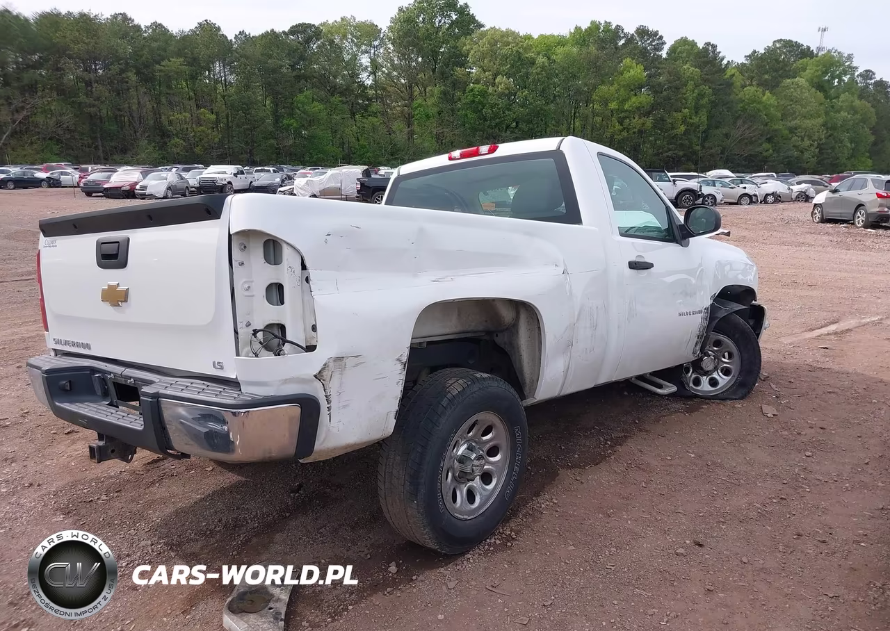 2011 Chevrolet Silverado 1500 Work Truck VIN:1GCNCPEX5BZ337578 - 4