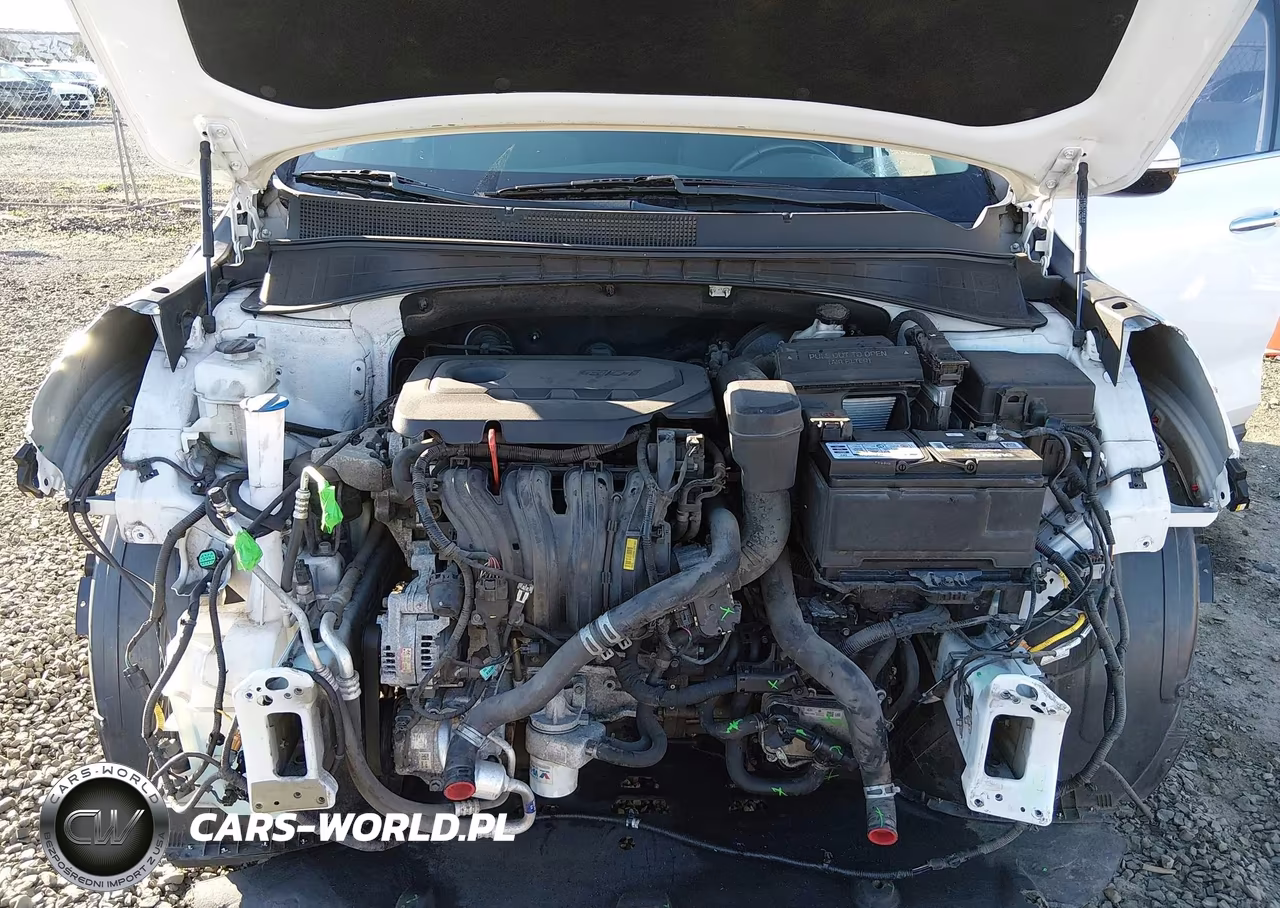 2019 Kia Sorento 2.4L Lx VIN:5XYPGDA30KG568935 - 10