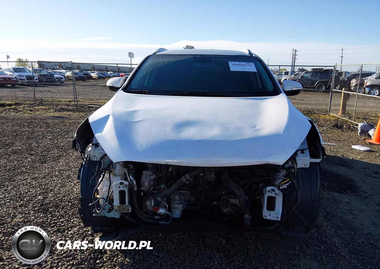 2019 Kia Sorento 2.4L Lx VIN:5XYPGDA30KG568935 - 13