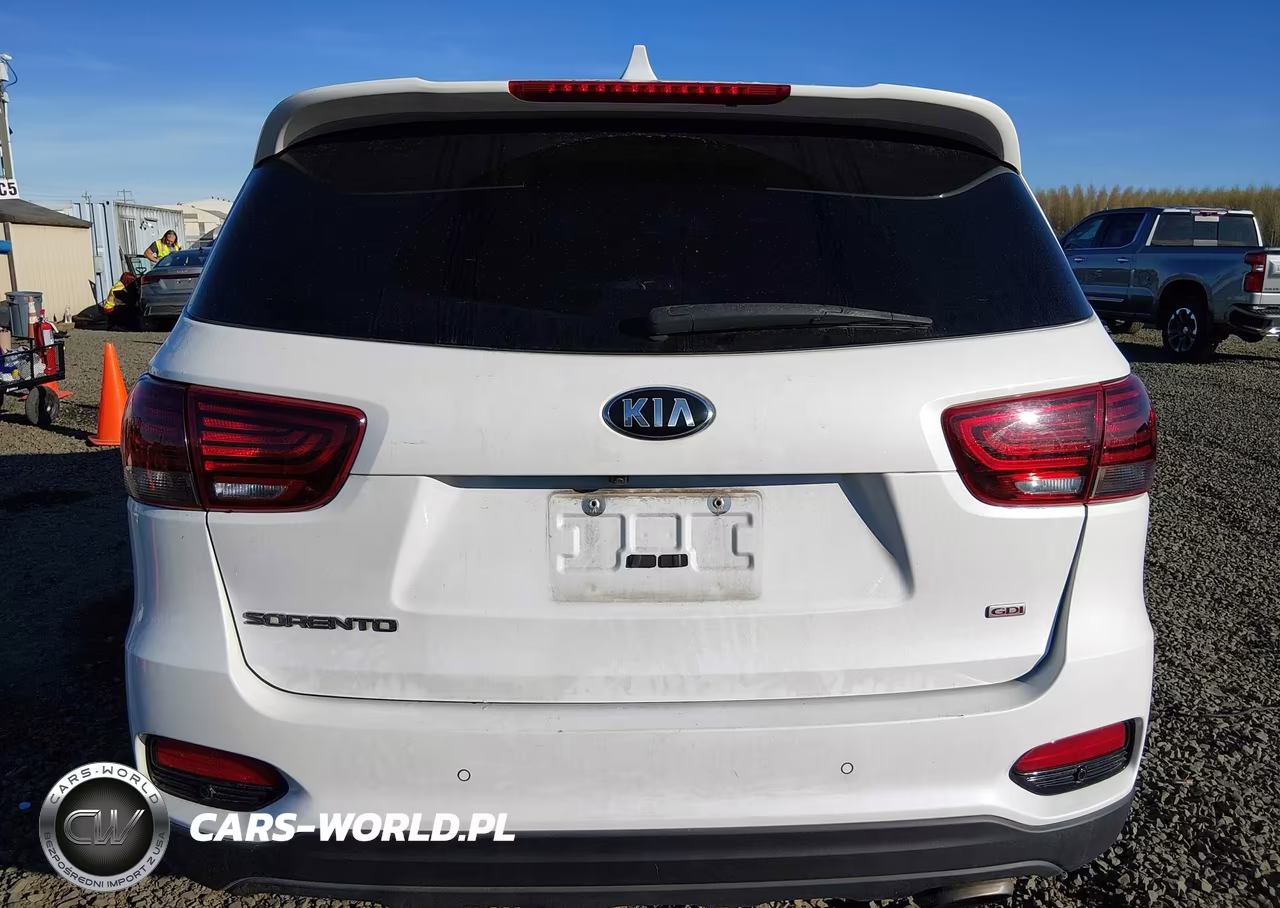 2019 Kia Sorento 2.4L Lx VIN:5XYPGDA30KG568935 - 17