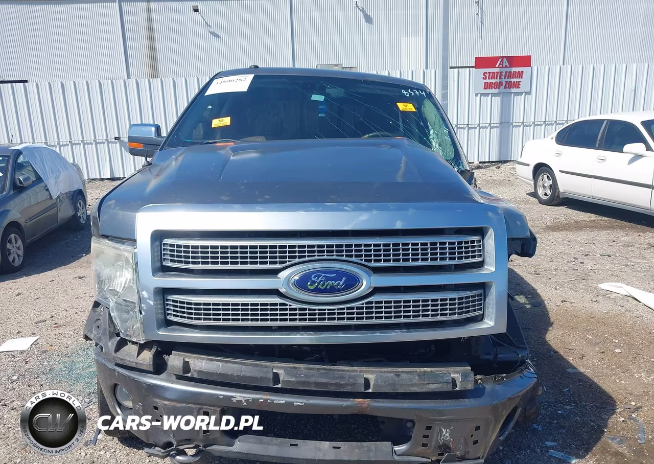 2009 Ford F-150 Fx4-King Ranch-Lariat-Platinum-Xl-Xlt VIN:1FTPW14V89FB18574 - 12