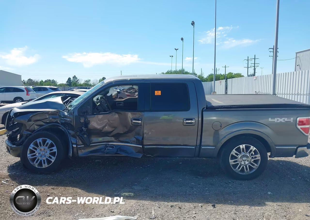 2009 Ford F-150 Fx4-King Ranch-Lariat-Platinum-Xl-Xlt VIN:1FTPW14V89FB18574 - 14
