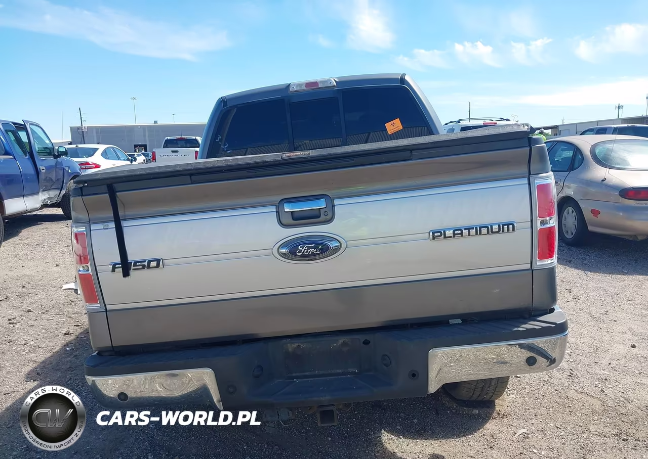 2009 Ford F-150 Fx4-King Ranch-Lariat-Platinum-Xl-Xlt VIN:1FTPW14V89FB18574 - 16