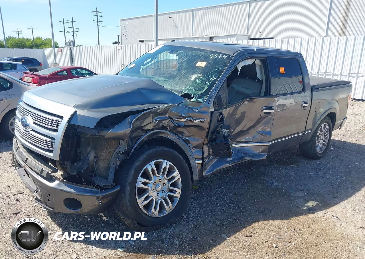 2009 Ford F-150 Fx4-King Ranch-Lariat-Platinum-Xl-Xlt VIN:1FTPW14V89FB18574 - 2