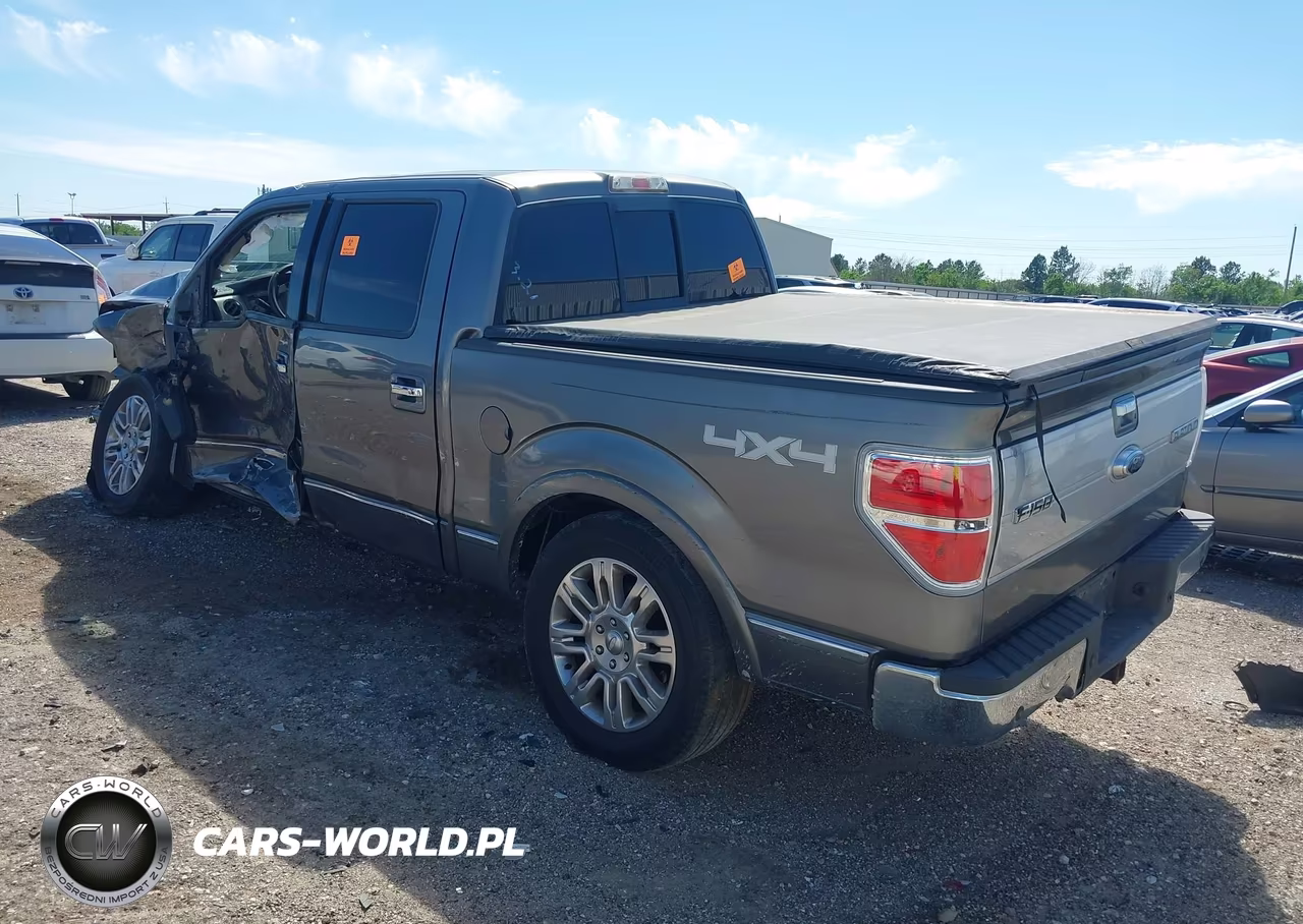 2009 Ford F-150 Fx4-King Ranch-Lariat-Platinum-Xl-Xlt VIN:1FTPW14V89FB18574 - 3