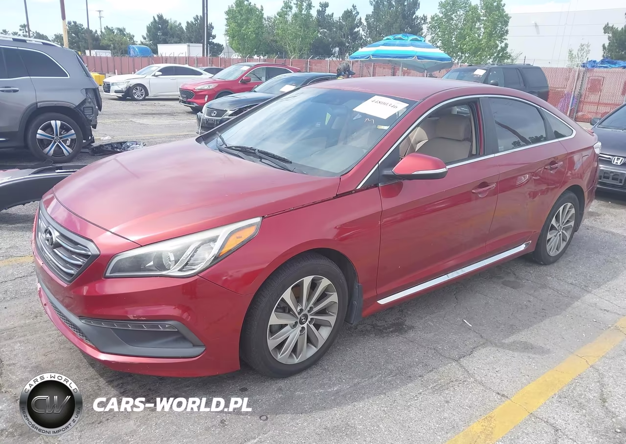 2016 Hyundai Sonata Sport VIN:5NPE34AF6GH342704 - 2
