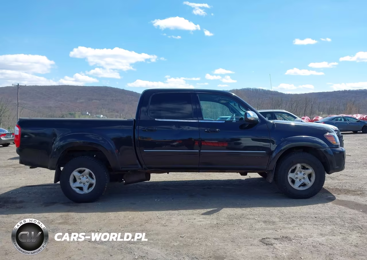 2005 Toyota Tundra Sr5 V8 VIN:5TBDT44195S472679 - 13