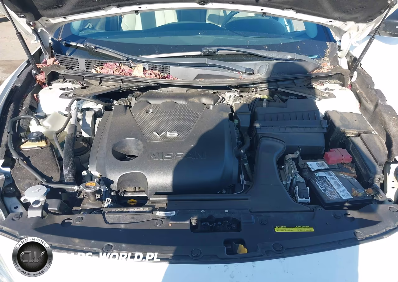 2016 Nissan Maxima 3.5 Sl VIN:1N4AA6AP3GC411732 - 10
