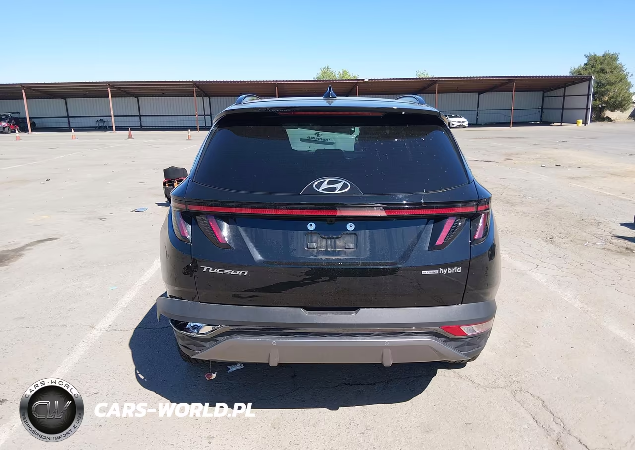 2024 Hyundai Tucson Hybrid Limited VIN:KM8JECD13RU171918 - 17
