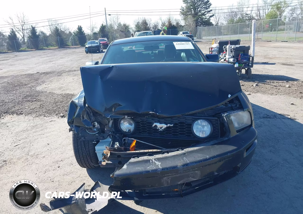2005 Ford Mustang Gt Deluxe-Gt Premium VIN:1ZVFT82H655123649 - 12