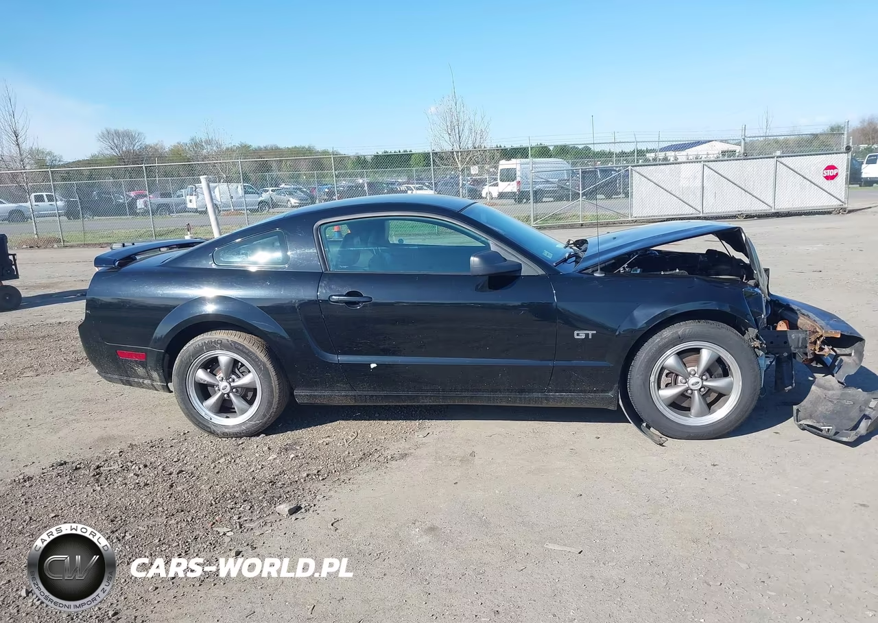 2005 Ford Mustang Gt Deluxe-Gt Premium VIN:1ZVFT82H655123649 - 13