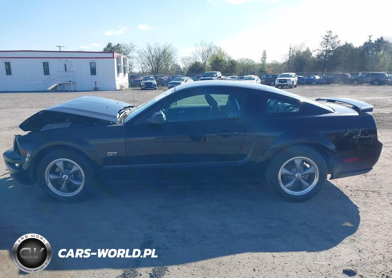 2005 Ford Mustang Gt Deluxe-Gt Premium VIN:1ZVFT82H655123649 - 14