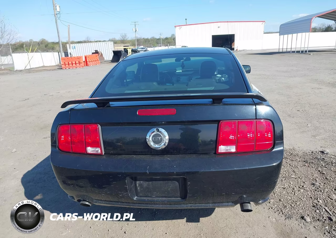 2005 Ford Mustang Gt Deluxe-Gt Premium VIN:1ZVFT82H655123649 - 16