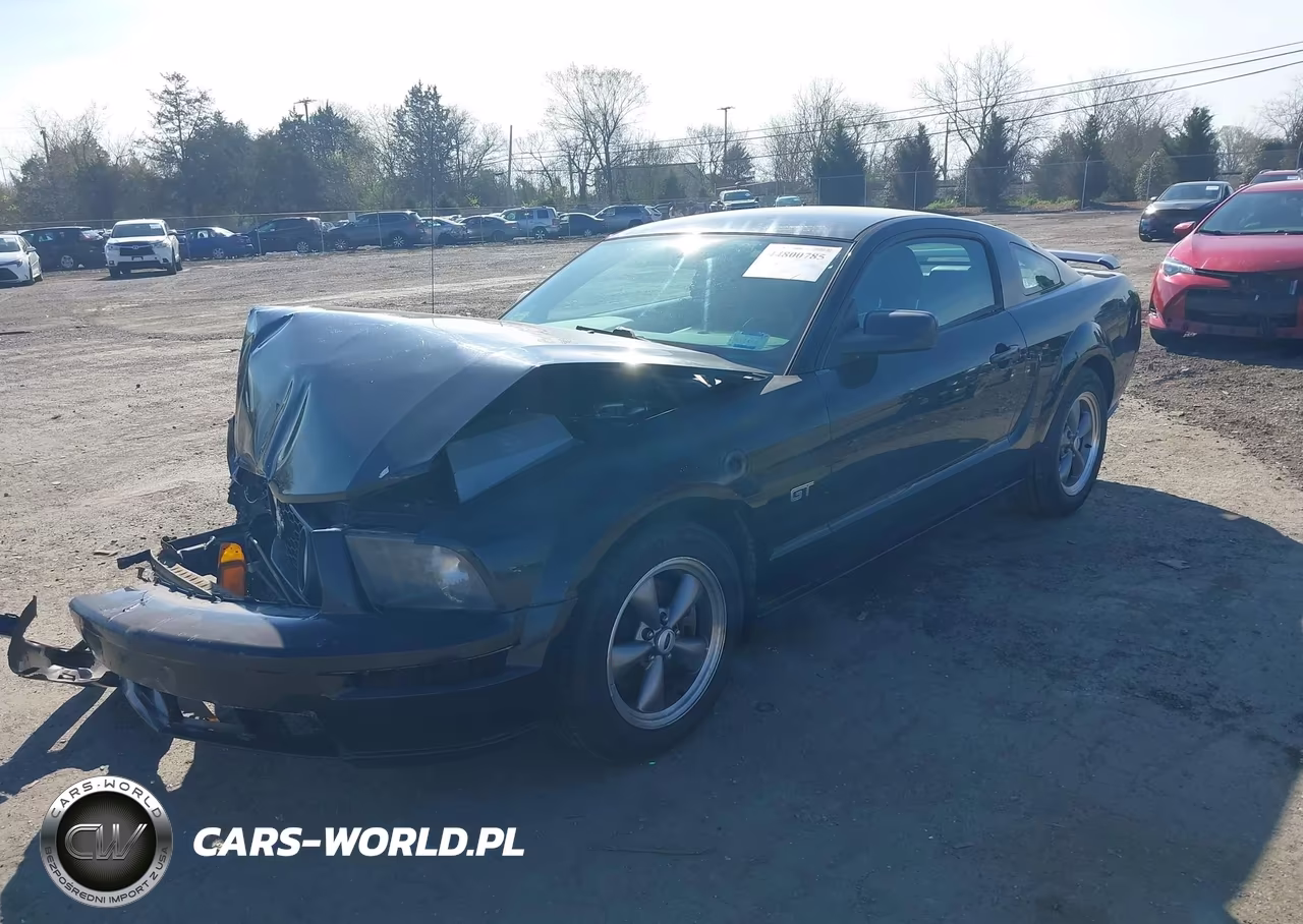 2005 Ford Mustang Gt Deluxe-Gt Premium VIN:1ZVFT82H655123649 - 2