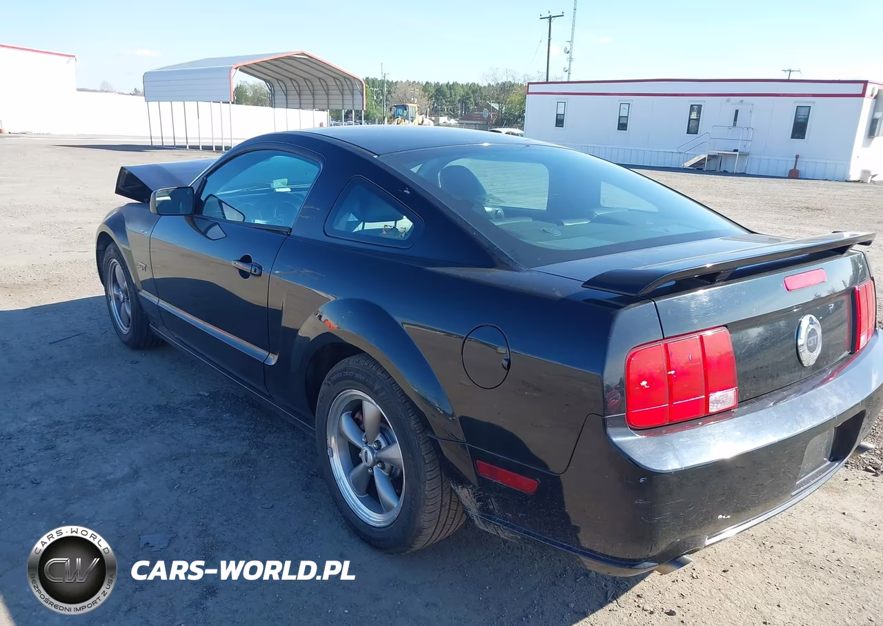 2005 Ford Mustang Gt Deluxe-Gt Premium VIN:1ZVFT82H655123649 - 3