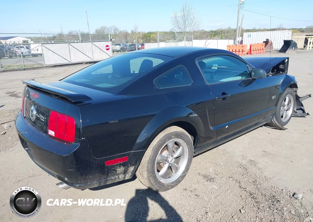 2005 Ford Mustang Gt Deluxe-Gt Premium VIN:1ZVFT82H655123649 - 4