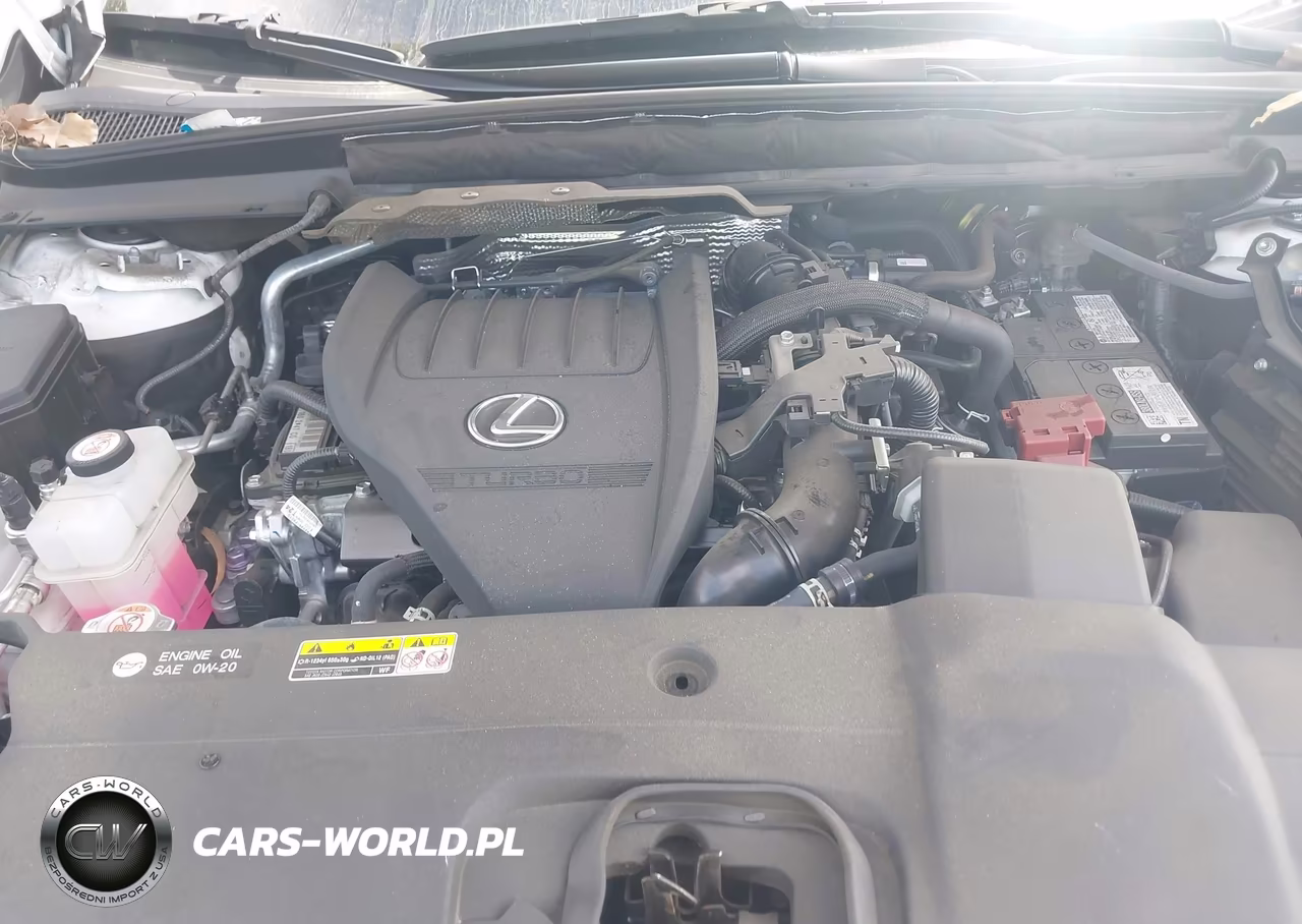 2023 Lexus Rx 350 Premium VIN:2T2BAMBA5PC005337 - 10