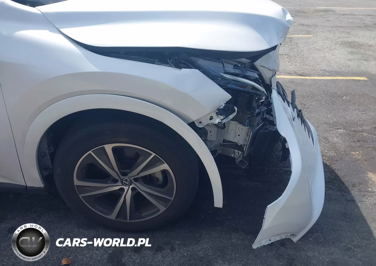 2023 Lexus Rx 350 Premium VIN:2T2BAMBA5PC005337 - 19